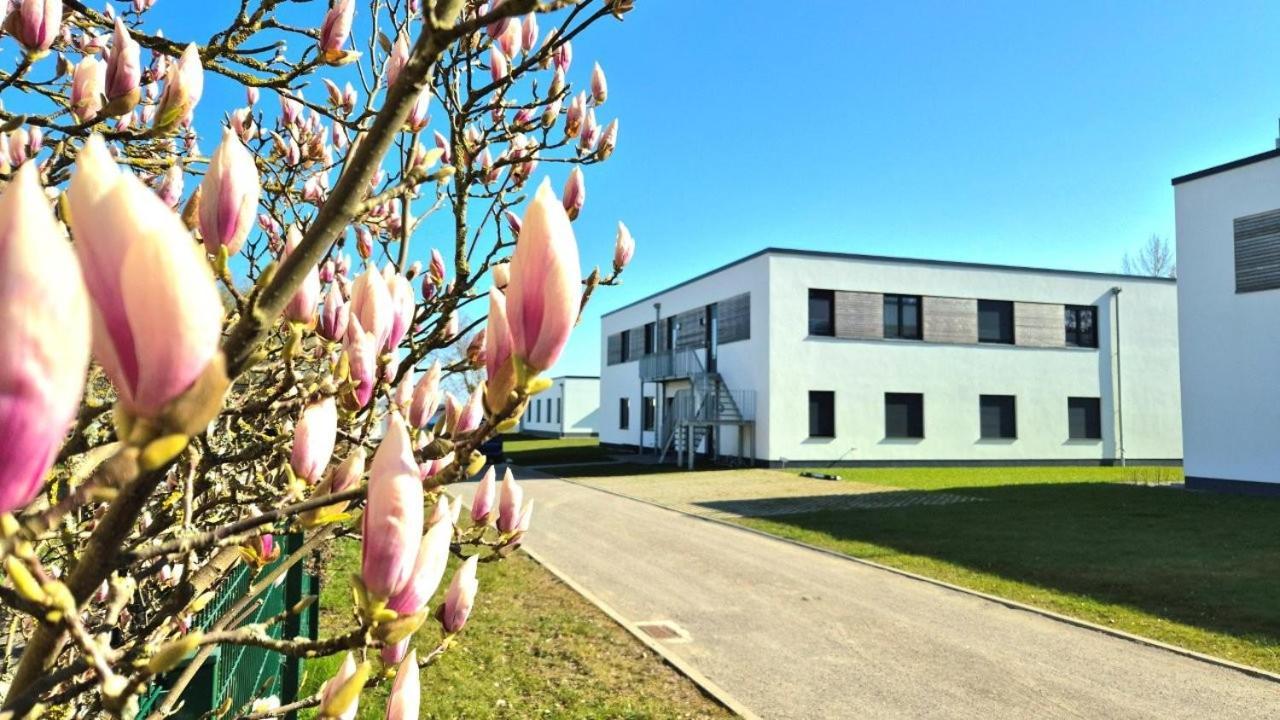 Seeliebe Schwerin - Pkw, Teilweise Mit Privater Sauna, Wlan, Xxl-balkon O Terrasse, Seeblick Apartment Schwerin (Mecklenburg-Vorpommern)